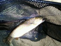 IMG00128-20110417-1451.jpg