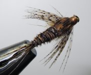 sulphurnymph1.jpg