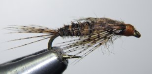 sulphurnymph2.jpg