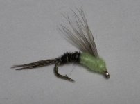 sulphur_emerger1.JPG