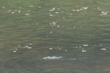 DSC_5319.jpg
