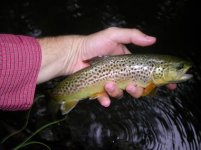 07-24-11 001.jpg