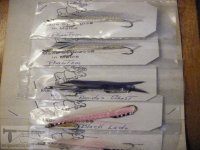 smelt 001.jpg