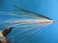 2-25-2011 091.jpg