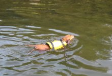 River Rat!.jpg