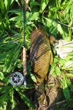 cheap spin cast reel rod combo Bd Y SC Combo, DIBDYSC502M