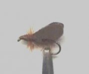 WaderPatchCaddis.jpg