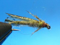 caddis 003.jpg