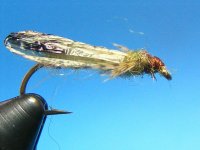 caddis 004.jpg