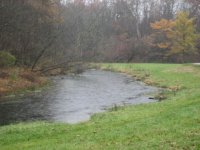 Ditch Close-up.JPG