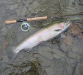 Colorful steelie.jpg