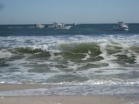 Big Surf.jpg