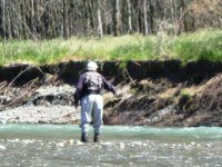 Conway Rive  Green ,but fishable.jpg