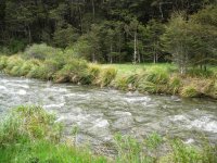 Hope River.JPG