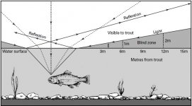 A-Trouts-Field-of-Vision.jpg