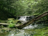 waterfall.jpg