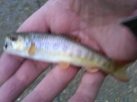IMG-20111229-00059.jpg