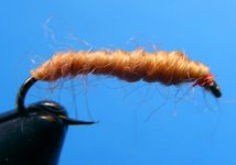 11-7-2010 018.jpg