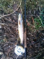 valley creek brown.jpg