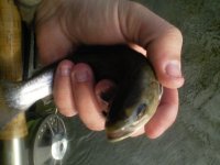 0219121403.jpg