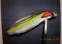 flies 019_thumb.jpg