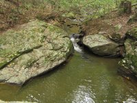 IMG_0367.JPG
