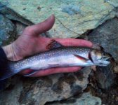 20120222174955748.jpg