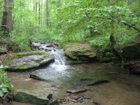IMG_1842.JPG