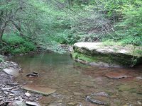 IMG_3049.JPG