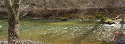Muddy Creek 2.JPG