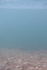 Clean Clear Water.JPG