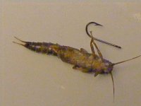 DSCF2060.JPG
