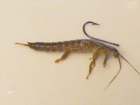 DSCF2061.JPG