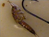 DSCF2079.JPG
