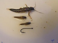 DSCF2082.JPG