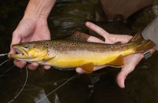 DSC_1124.jpg