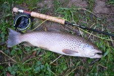 Another no name river (640x425).jpg
