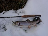 Big Brookie 2.jpg