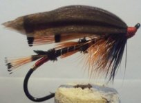 turkeywing.jpg