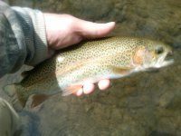 IMG-20120329-00257.jpg