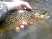 IMG-20120329-00258.jpg