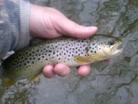 IMG-20120329-00259.jpg