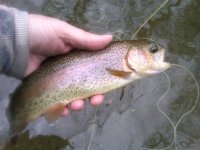 IMG-20120329-00260.jpg