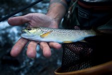 lehighgorge2-2.jpg