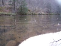 penns resize1.jpg