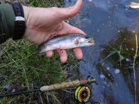 2012 Trout Season 013.JPG