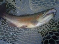 IMG-20120414-00193.jpg