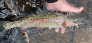 UDR West Branch rainbow2 4-21 150dpi.jpg
