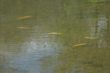 DSC_7089.jpg