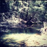 Clarks Creek 5-12-12.jpg